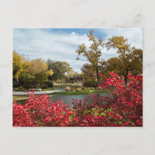 Cartão Postal EUA - Kansas - Centro Wichita (Frente)