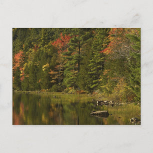 Cartão Postal EUA; Maine; Acadia NP. Reflexos de outono às 2