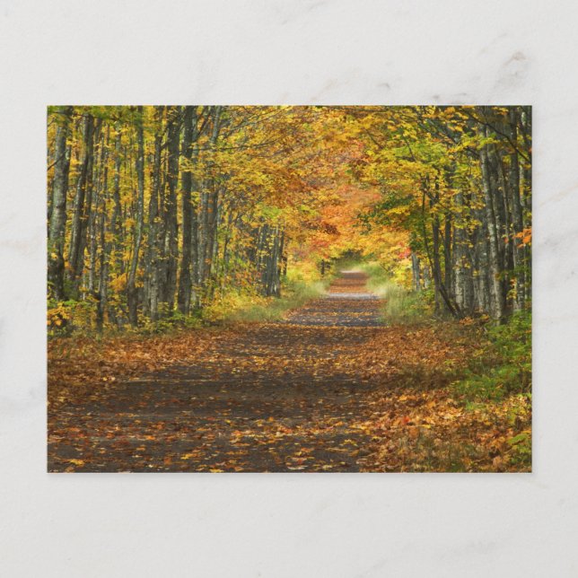 Cartão Postal EUA, Michigan, Península Superior. Estrada para (Frente)