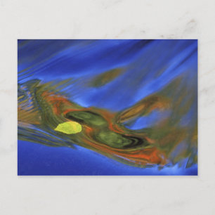 Cartão Postal EUA, Michigan, Península Superior, folha de páss