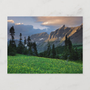 Cartão Postal EUA, Montana, Parque Nacional Glacier, Logan Pass