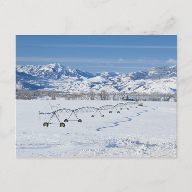 Cartão Postal EUA, MT, Fazenda perto de Livingston (Frente)