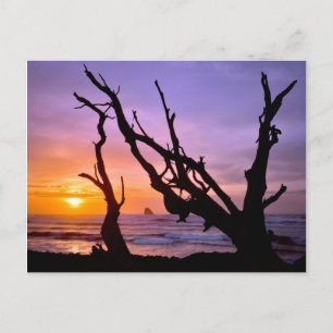 Cartão Postal EUA, Oregon, Cape Meares. Pôr do sol