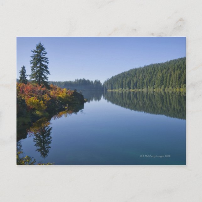 Cartão Postal EUA, Oregon, Clear Lake (Frente)