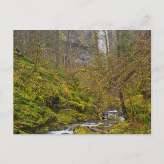 Cartão Postal EUA, Oregon, Columbia Gorge (Frente)