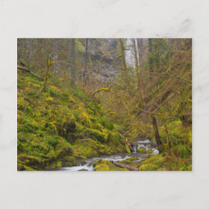 Cartão Postal EUA, Oregon, Columbia Gorge