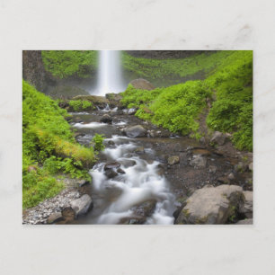 Cartão Postal EUA, Oregon, Columbia River Gorge, Latourell