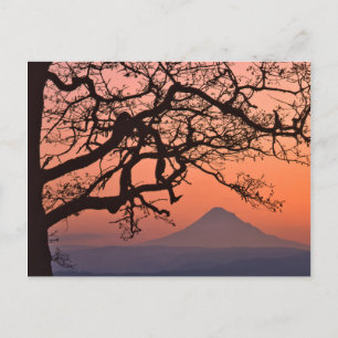 Cartão Postal EUA, Oregon, Columbia River Gorge Nacional 2