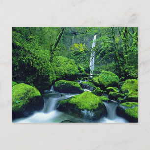 Cartão Postal EUA, Oregon, Columbia River Gorge National 2