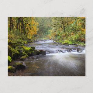 Cartão Postal EUA, Oregon, Columbia River Gorge, Tanner Creek