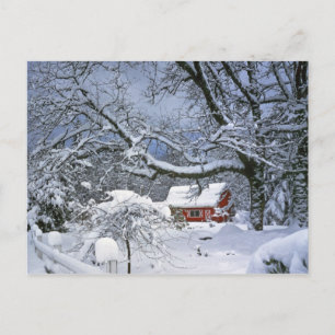 Cartão Postal EUA, Oregon, Condado de Clackamas. Neve fresca