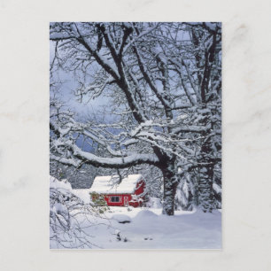 Cartão Postal EUA, Oregon, Condado de Clackamas. Neve fresca cob