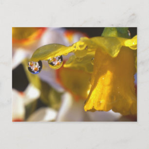 Cartão Postal EUA, Oregon, Condado de Multnomah, Fechamento de