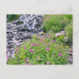 Cartão Postal EUA, Oregon, Crater Lake National Park