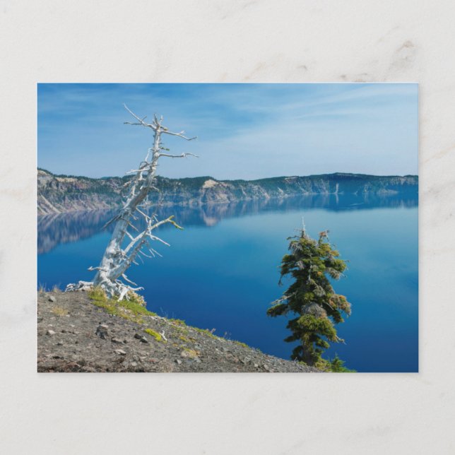 Cartão Postal EUA, Oregon, Crater Lake National Park 4 (Frente)