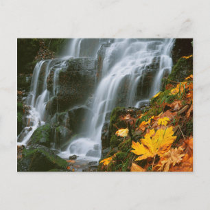 Cartão Postal EUA, Oregon, Fairy Falls, Desfiladeiro do rio Colu
