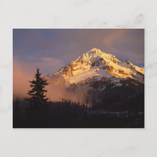 Cartão Postal EUA, Oregon, Floresta Nacional de Mt. Hood. Roland