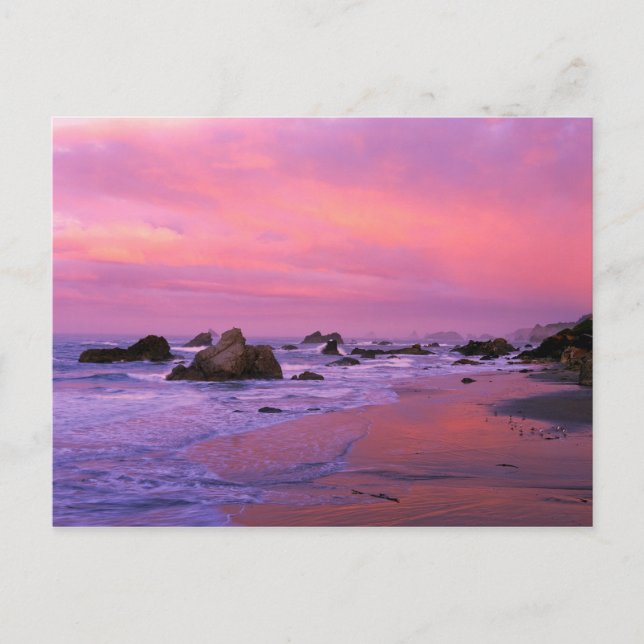 Cartão Postal EUA, Oregon, Harris State Beach, Brookings. (Frente)