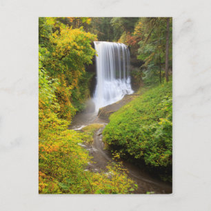 Cartão Postal EUA, Oregon, Parque Estadual Silver Falls 3