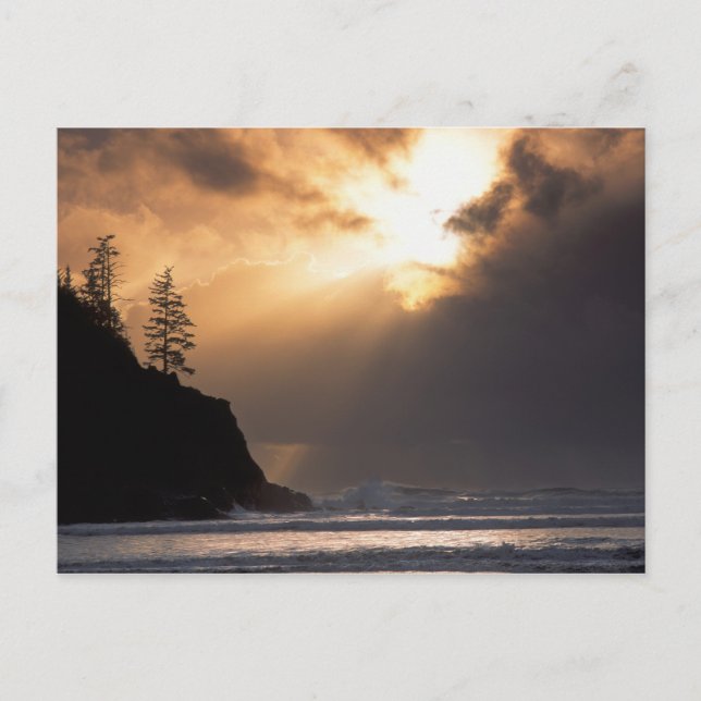 Cartão Postal EUA, Oregon, perto de Oswald West State Park, Late (Frente)