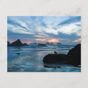 Cartão Postal EUA, Oregon, Praia de Bandon. Gaivota na rocha