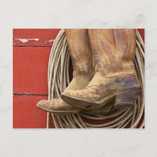 Cartão Postal EUA, Oregon, Seneca, Ponderosa Ranch. Close-Up (Frente)