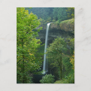 Cartão Postal EUA, Oregon, Silver Falls State Park