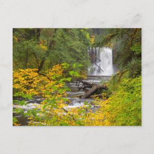 Cartão Postal EUA, Oregon, Silver Falls State Park 2