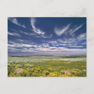 Cartão Postal EUA, Oregon, Steens Mountain. Primavera brota