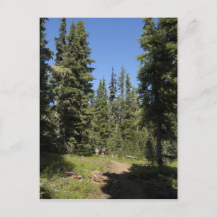 Cartão Postal EUA, Oregon, Willamette National Forest, Outono