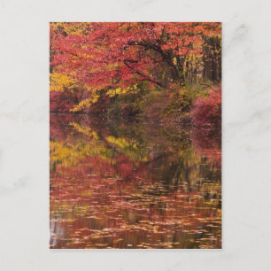 Cartão Postal EUA, Pensilvânia, Delaware Water Gap National