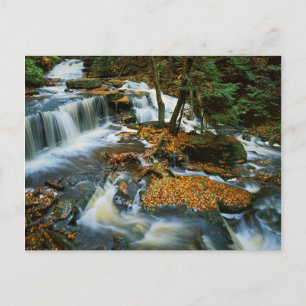 Cartão Postal EUA, Pensilvânia, Parque Estadual Ricketts Glen