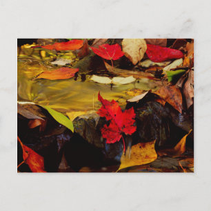 Cartão Postal EUA, Pensilvânia, Pocono Mountain 1