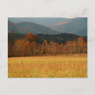 Cartão Postal EUA, Tennessee. Cades Cove nas Smoky Mountain