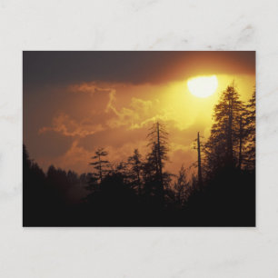 Cartão Postal EUA, Tennessee, Montanhas Enfumaçados Excelentes 