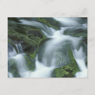 Cartão Postal EUA, Tennessee, Montanhas Enfumaçados Excelentes N