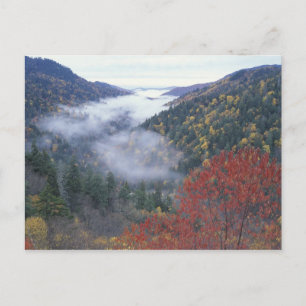 Cartão Postal EUA, Tennessee, Parque Nacional Grandes Montanhas