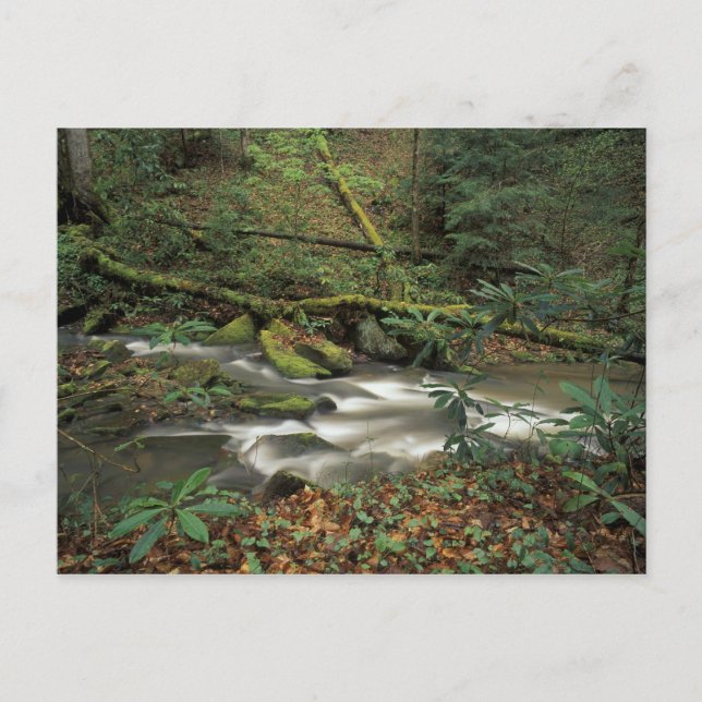 Cartão Postal EUA, Tennessee. Rio Grande do Sul (Frente)