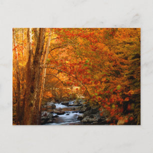 Cartão Postal EUA, Tennessee. Rushing Mountain Creek 2