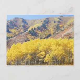 Cartão Postal EUA, Utah, Floresta Nacional Wasatch-Cache,