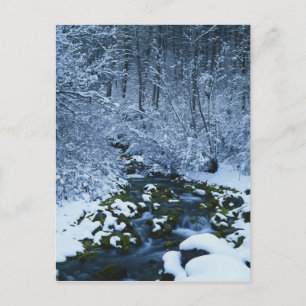 Cartão Postal EUA, Utah, Floresta Nacional Wasatch-Catch,