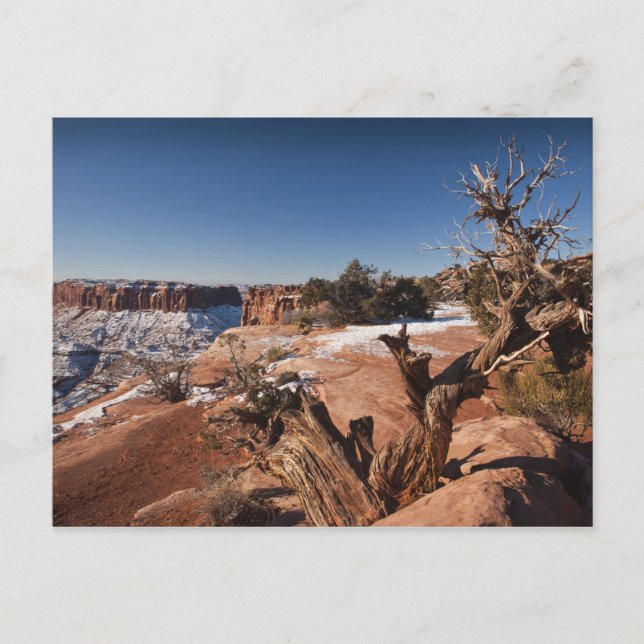 Cartão Postal EUA, Utah, Moab. Parque Nacional Canyonlands, (Frente)