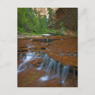 Cartão Postal EUA, Utah, Parque Nacional de Zion. Cênico a parti