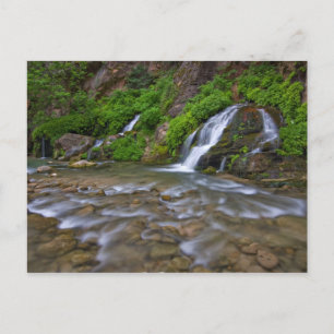 Cartão Postal EUA, Utah, Parque Nacional Zion. Grandes nascente