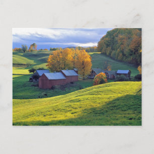 Cartão Postal EUA, Vermont, Jenne Farm. Colinas verdes ondulante