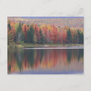 Cartão Postal EUA, Vermont, Lago McAllister, perto de Hazens Not
