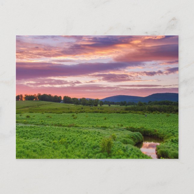 Cartão Postal EUA, Virgínia Ocidental, Davis. Paisagem (Frente)