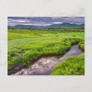 Cartão Postal EUA, Virgínia Ocidental, Davis. Paisagem 2