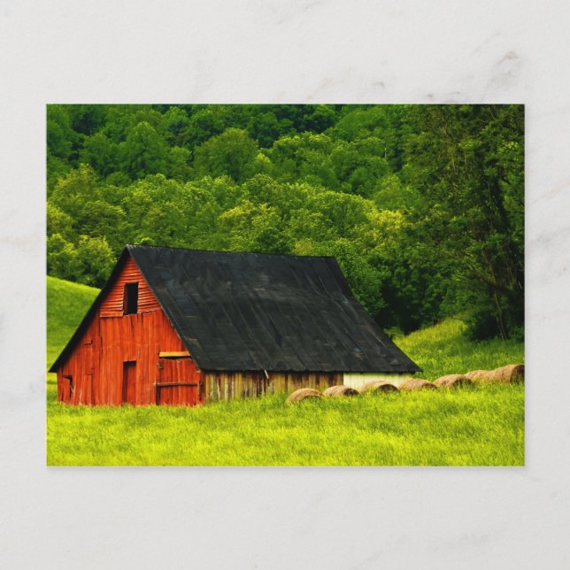 Cartão Postal EUA, Virgínia, Shenandoah National Park, 2 (Frente)