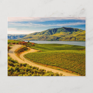 Cartão Postal EUA, Washington, Lago Chelan. Benson Vineyards
